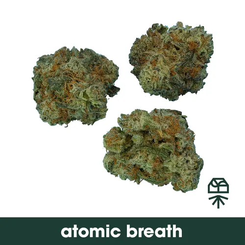{'strain': 'Atomic Breath', 'strain_type': 'Hybrid', 'company': 'Curaleaf', 'brand': 'Grassroots', 'price': Decimal('32.50'), 'regular_price': Decimal('50.00'), 'thc': Decimal('30.07'), 'cbd': Decimal('0.07'), 'terps': Decimal('0.00'), 'grams': Decimal('3.500'), 'dollars_per_thcg': Decimal('30.880'), 'dollars_per_g': Decimal('9.290'), 'product_format': 'Flower', 'product_sub_format': 'Smalls', 'dispensary_cities': ['Gainesville'], 'main_url': 'https://curaleaf.com/shop/florida/curaleaf-dispensary-gainesville/menu//menu/flower-1522/hybrid-atomic-breath-small-buds-atomic-breath-3.5g-19308', 'display_image_url': 'https://thchunter-images.s3.us-east-2.amazonaws.com/product_images/ede0f7ed-47de-45bc-b1a5-bfa42211dab5.webp', 'id': 13347066, 'company_logo_file': 'curaleaf.jpg', 'company__premium_company': False, 'company__name': 'Curaleaf'}