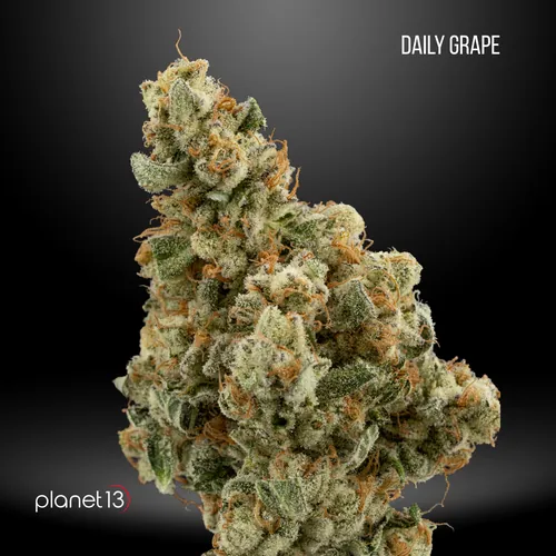 Daily Grape -  cannabis product