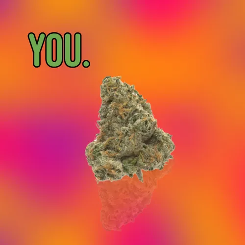 Polyjuice Potion #4   Top Cut by YOU. - 
