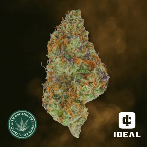 Triple Burger from  product image