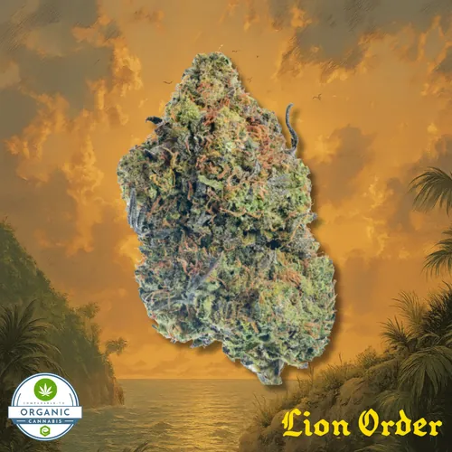 OG Hurricane - 