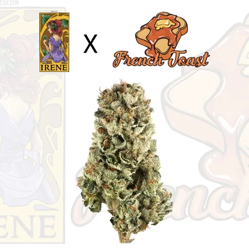 Irene x French Toast Tier 1 - 