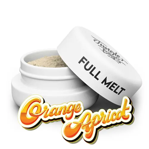 Orange Apricot - 