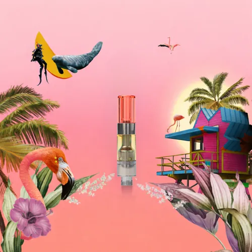 Miami Vibes Cartridge from  product image