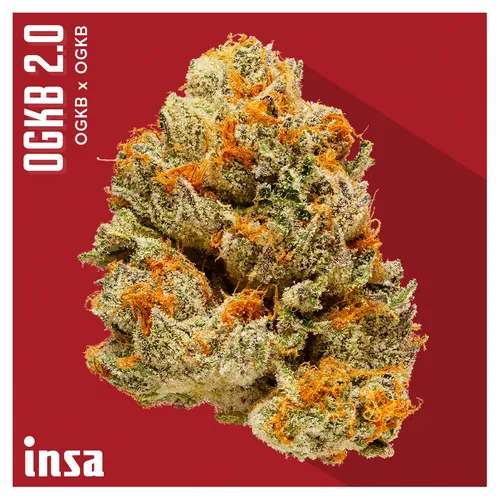 Flower - OGKB 2.0 from  product image