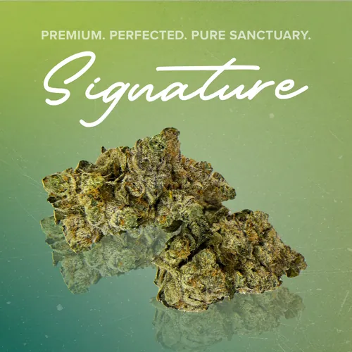 Strawnana Bread Signature - 3.5g by Sanctuary Signature - 3.500g Unknown