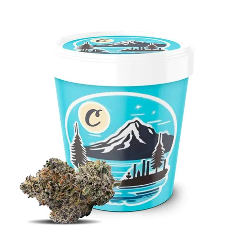 Light Blue - 