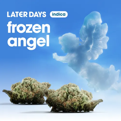 Frozen Angel Flower from  product image