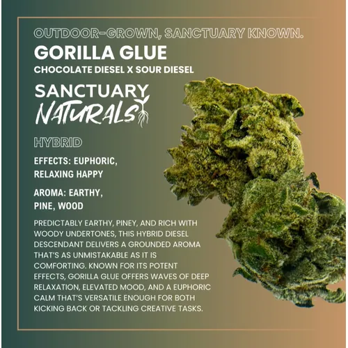 Sanctuary Naturals 3.5g Gorilla Glue by Sanctuary Cannabis - 3.500g Whole