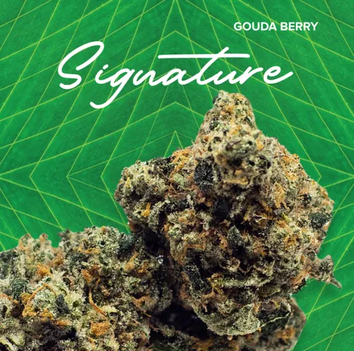  from  product image