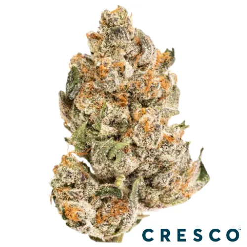 Hp13 X Zkittlez -  cannabis product