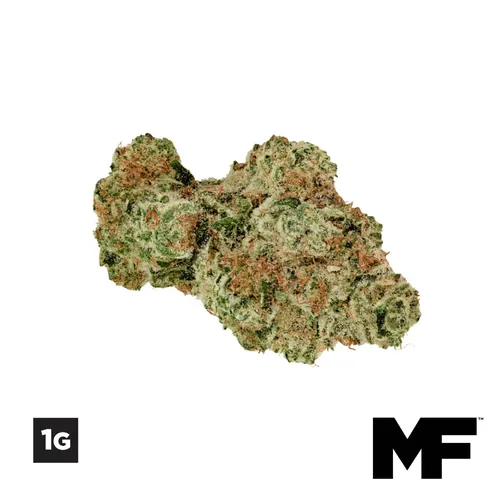 1G Sunset Squeeze Flower from  product image