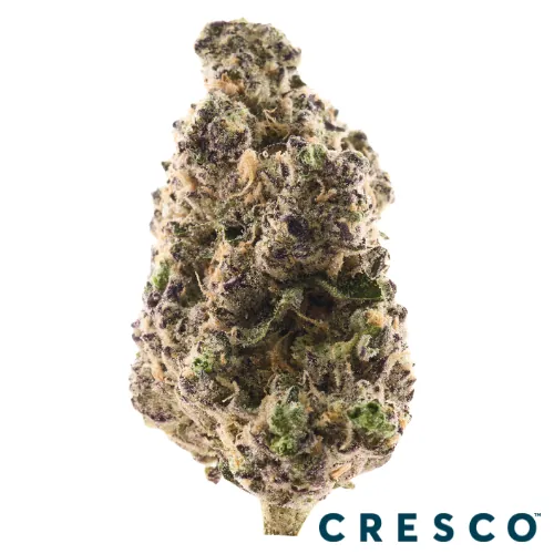 Supply Shake 7g - Apl Frttr x Chernobyl (S) from  product image
