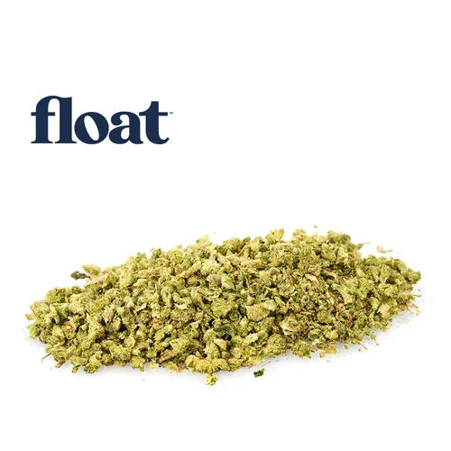 Indica - 
