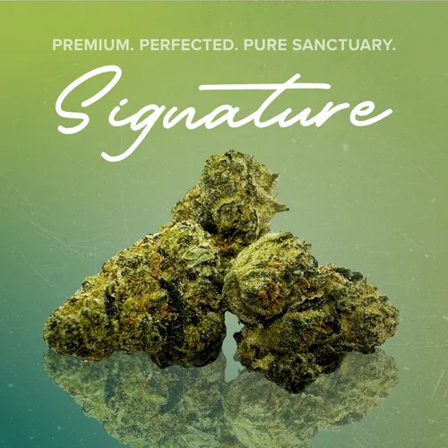 Chem Cake Signature - 3.5g by Sanctuary Signature - 3.500g Whole