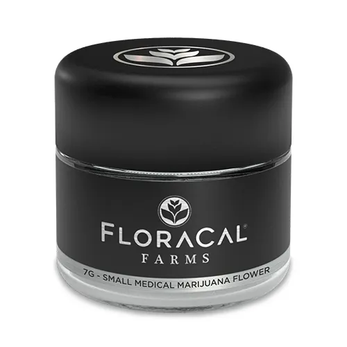 Lemon Cherry Z Animal - 