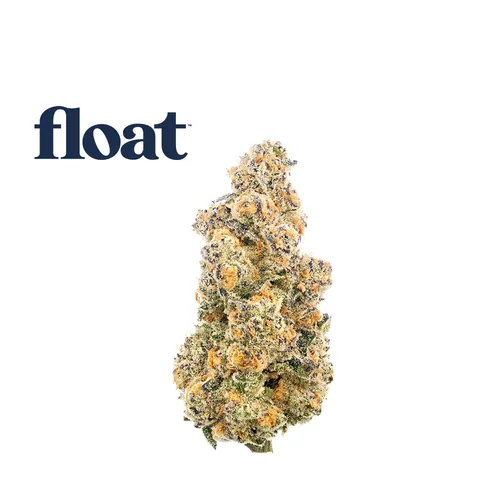  from  product image