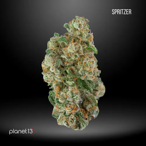 Spritzer Tier 1 from  product image