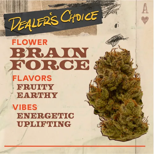 Brain Force - 3.5g Flower by Dealer's Choice - 3.500g Whole