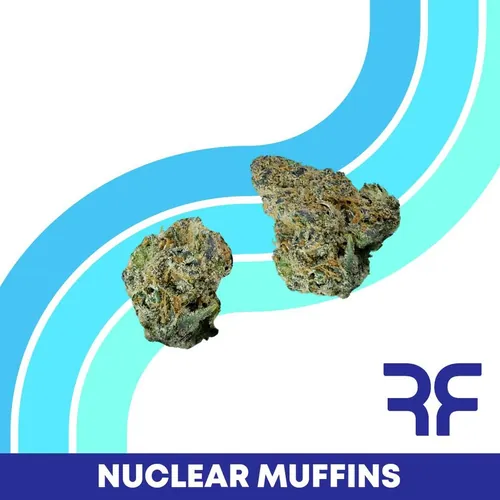 {'strain': 'Nuclear Muffins', 'strain_type': 'Hybrid', 'company': 'Curaleaf', 'brand': 'Reef', 'price': Decimal('26.00'), 'regular_price': Decimal('40.00'), 'thc': Decimal('30.86'), 'cbd': Decimal('0.07'), 'terps': Decimal('0.00'), 'grams': Decimal('3.500'), 'dollars_per_thcg': Decimal('24.070'), 'dollars_per_g': Decimal('7.430'), 'product_format': 'Flower', 'product_sub_format': 'Smalls', 'dispensary_cities': ['Englewood', 'Punta Gorda'], 'main_url': 'https://curaleaf.com/shop/florida/curaleaf-dispensary-punta-gorda/menu//menu/flower-1522/hybrid-nuclear-muffins-popcorn-nuclear-muffins-3.5g-19592', 'display_image_url': 'https://thchunter-images.s3.us-east-2.amazonaws.com/product_images/f922f16f-7a22-422f-aef9-3cc52e0fad2a.webp', 'id': 13354379, 'company_logo_file': 'curaleaf.jpg', 'company__premium_company': False, 'company__name': 'Curaleaf'}