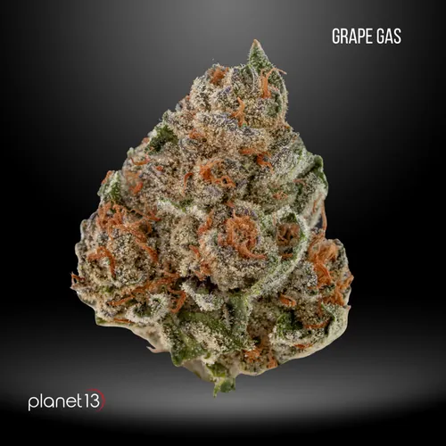 Grape Gas 3.5g Jar Tier 1 by Planet 13 - 3.500g Whole