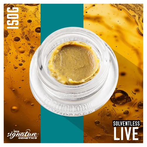 Live Rosin - GIJU from  product image