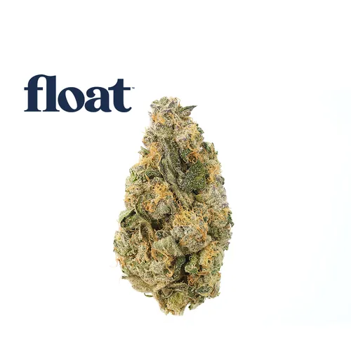 Jelly Sea from  product image