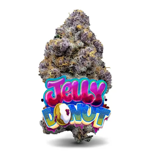 Jelly Donut - Premium Flower