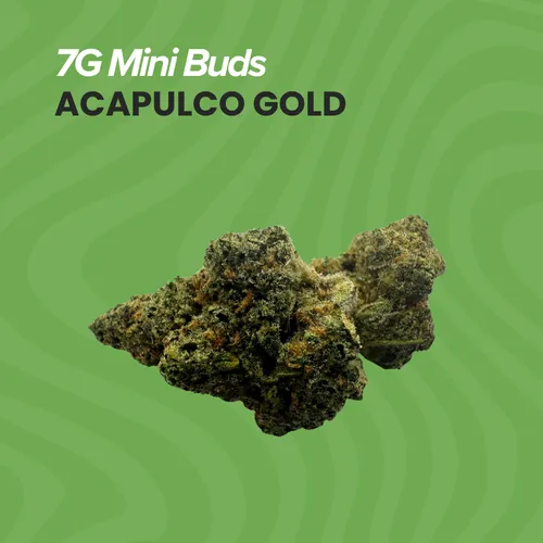 Mini Buds  Acapulco Gold - 