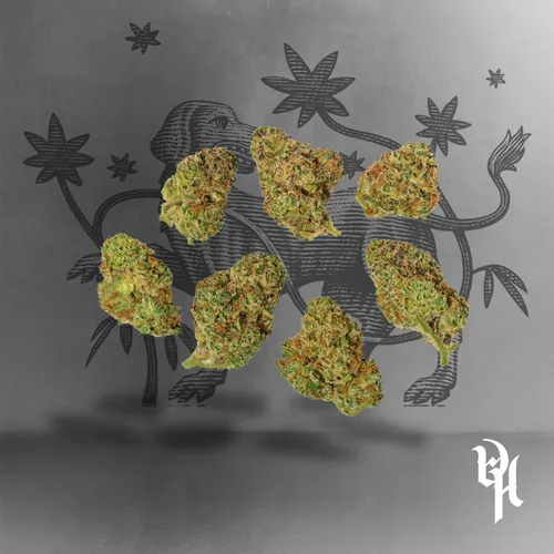 Gaszilla -  cannabis product