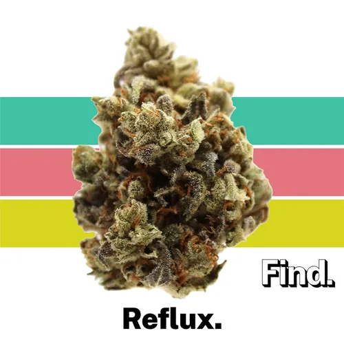 Reflux -  cannabis product