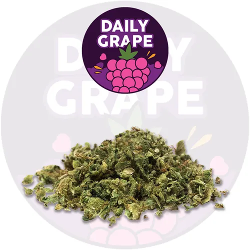 Leaf Vine Daily Grape 1 -  cannabis product