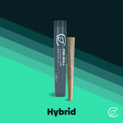 Banana Chocolate Thai by Curaleaf - 1.000g PreRoll