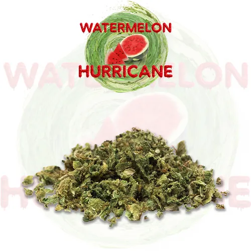 Leaf & Vine - Watermelon Hurricane 1/4Oz Ground - 