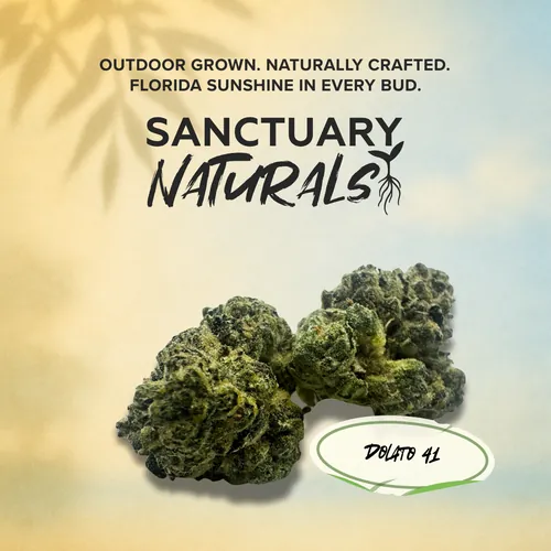 Crumble Dolato 41 -  cannabis product