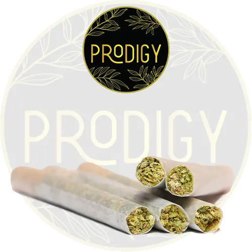 Prodigy  -  cannabis product