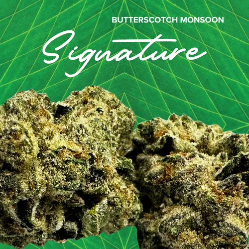 Signature   Butterscotch Monsoon - 