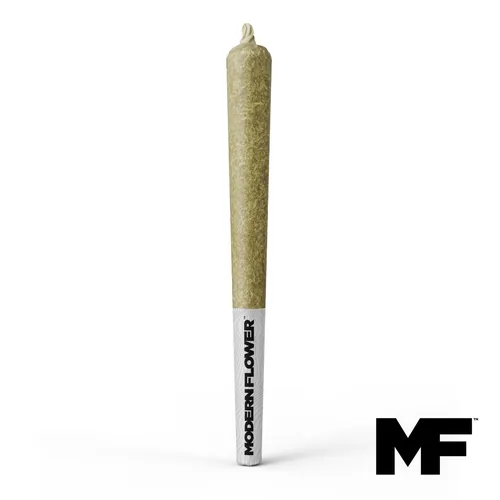 Gastro Pop Single Pre-Roll by Modern Flower - 1.000g PreRoll