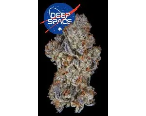  from  product image