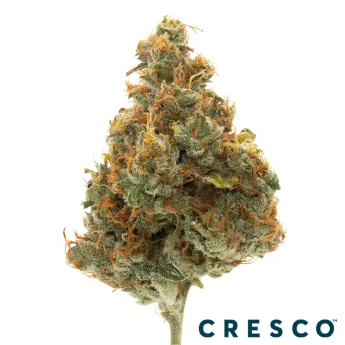 Madd Fruit -  cannabis product