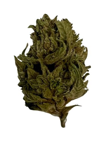 MPX White Gorilla Flower - 
