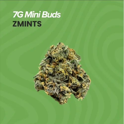 Buds Zmnts -  cannabis product
