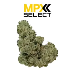 MPX Spritzer Flower from  product image