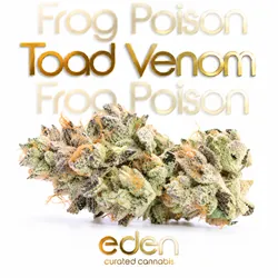 Toad Venom |  AKA Frog Poison from  product image