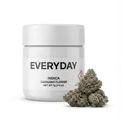 GLTR Bomb from  product image