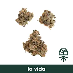 La Vida -  cannabis product