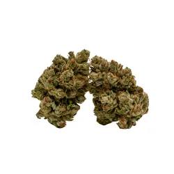I-95 from  product image