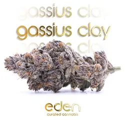 Gassius Clay SchMediums from  product image