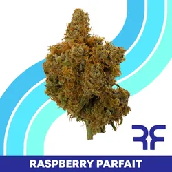 Raspberry Parfait from  product image