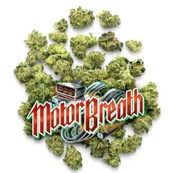Motor Breath - Pops from  product image